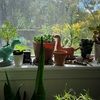 prettycoostuff
